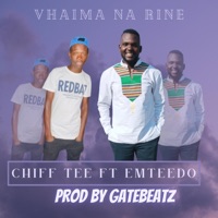 Vhaima na rine (feat. Emteedo) - Single - Mundalamo chiff Tee