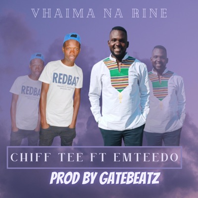 Vhaima na rine (feat. Emteedo) - Single