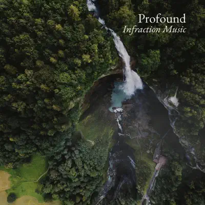 Listen to Profound - Single by Infraction Music