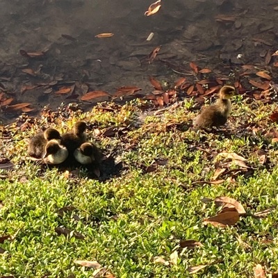 turn the clock back - Single