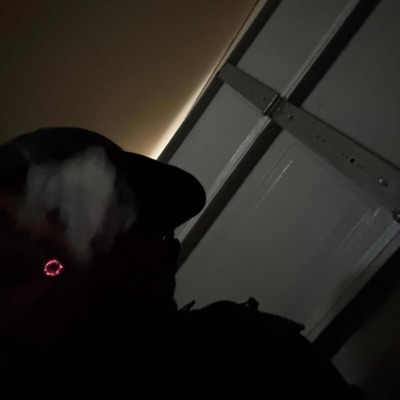 Pulling Stunts (feat. 16 Shotz) - Single