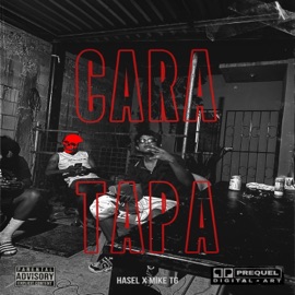 CARA TAPA Hasel