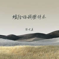 嫁给你我图什么 - Single - 张大美