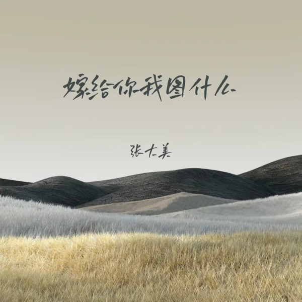 嫁给你我图什么 - Single