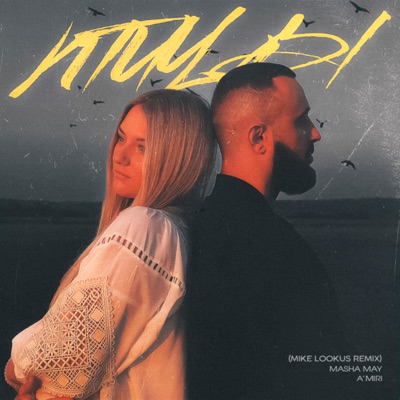 Птицы (Mike Lookus Remix) - Single