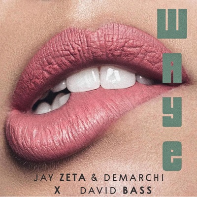 Waye - Single