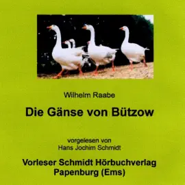 Die Gänse von Bützow