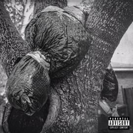 Make a Wish Slick Fire