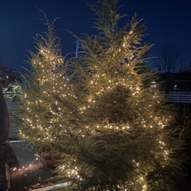 Christmas With You SJK