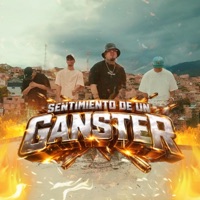 Sentimiento De Un Ganster (feat. Los Rogelios) - Single - CHAMPION11.1