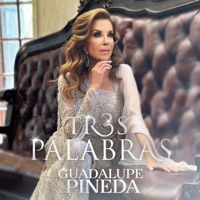 Tres Palabras - Single - Guadalupe Pineda