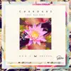 Cherokee - Don't Matter (feat. Darianna Everett)