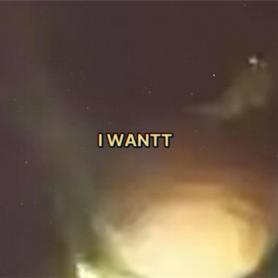 I WANTT (feat. Druskii & Cal) - Single
