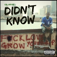 Didn't Know - Single - Cal Wayne