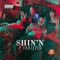 Shin'N - P THRIZZLE lyrics