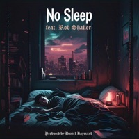 No Sleep (feat. Rob Shaker) - Single - Trigz