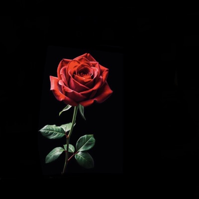 Vibe wit you - Single