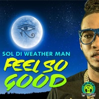 Feel so Good - Single - Sol
