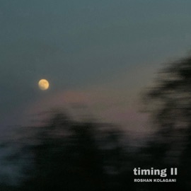 Constant In The Change (feat. shefali) Roshan Kolagani