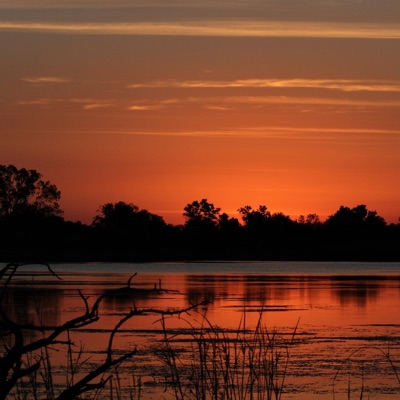 PIGA W KOURI - Single