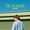 DIRE MI MANCHI