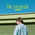DIRE MI MANCHI