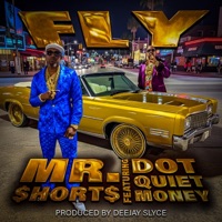 FLY (feat. Quiet money dot) - Single - Mr. Shorts