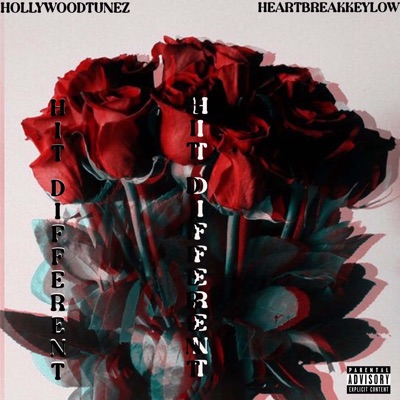 Hit Different (feat. Heartbreakkeylow) - Single