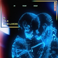 In Your Head - Single - Apxche94