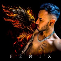 Fênix - FrazaMc