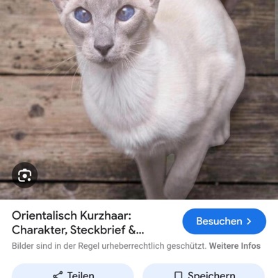 Sadomaso (feat. Miriam) - Single