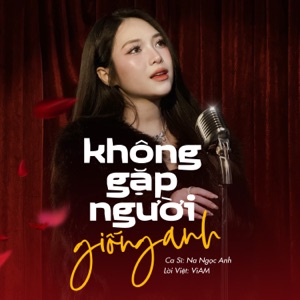 Không Gặp Người Giống Anh (Remix)