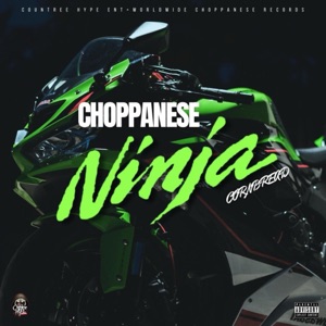 Choppanese Ninja