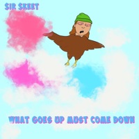 What Goes Up Must Come Down - Single - $ir $keet