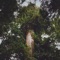 Cypress - hario Island & very noise person lyrics