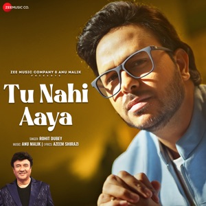 Tu Nahi Aaya