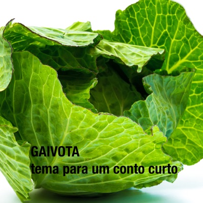 Gaivota: Tema para um Conto Curto