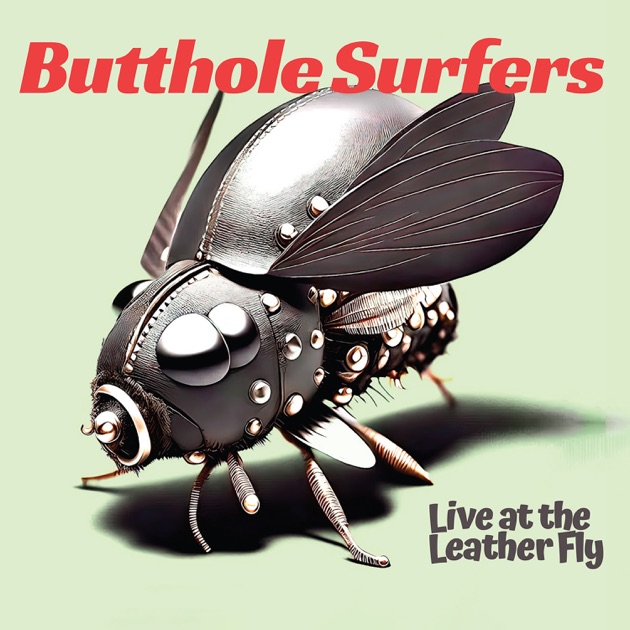 LP BUTTHOLE SURFERSレコードELECTRICLARRYLAND Butthole Surfers – Electriclarryland – CD (Album, Club