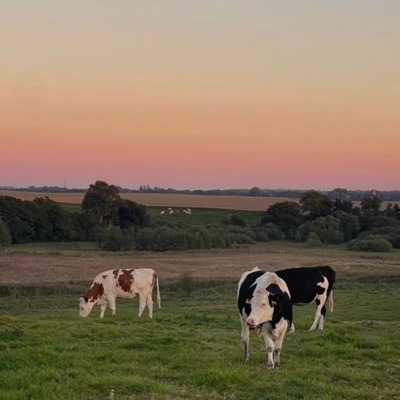 Depois da Água - Single