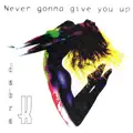 Never Gonna Give You Up