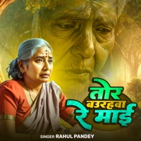 Tor Baurahwa Re Mai - Single - Rahul Pandey