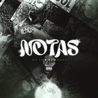 Notas - Single - MC LZ & Dj Ramos