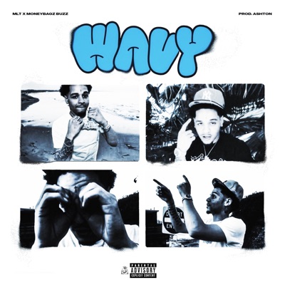 Wavy (feat. Moneybagz Buzz) - Single