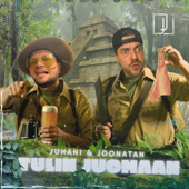 Tulin Juomaan song art