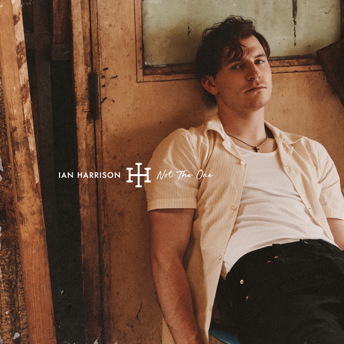 Ian Harrison - Not the One - Single (2025) [iTunes Plus AAC M4A]-新房子