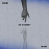 ICEKIID & Bl&aelig;st - Er Vi Okay? artwork
