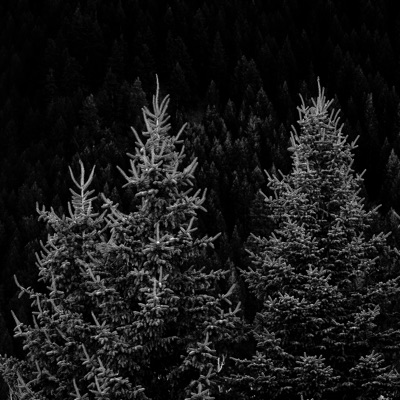 Bewrayeth, No. 2 - Single