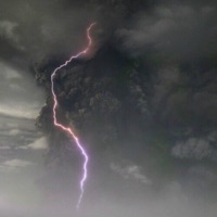 Лотос - Single - Маленький ярче