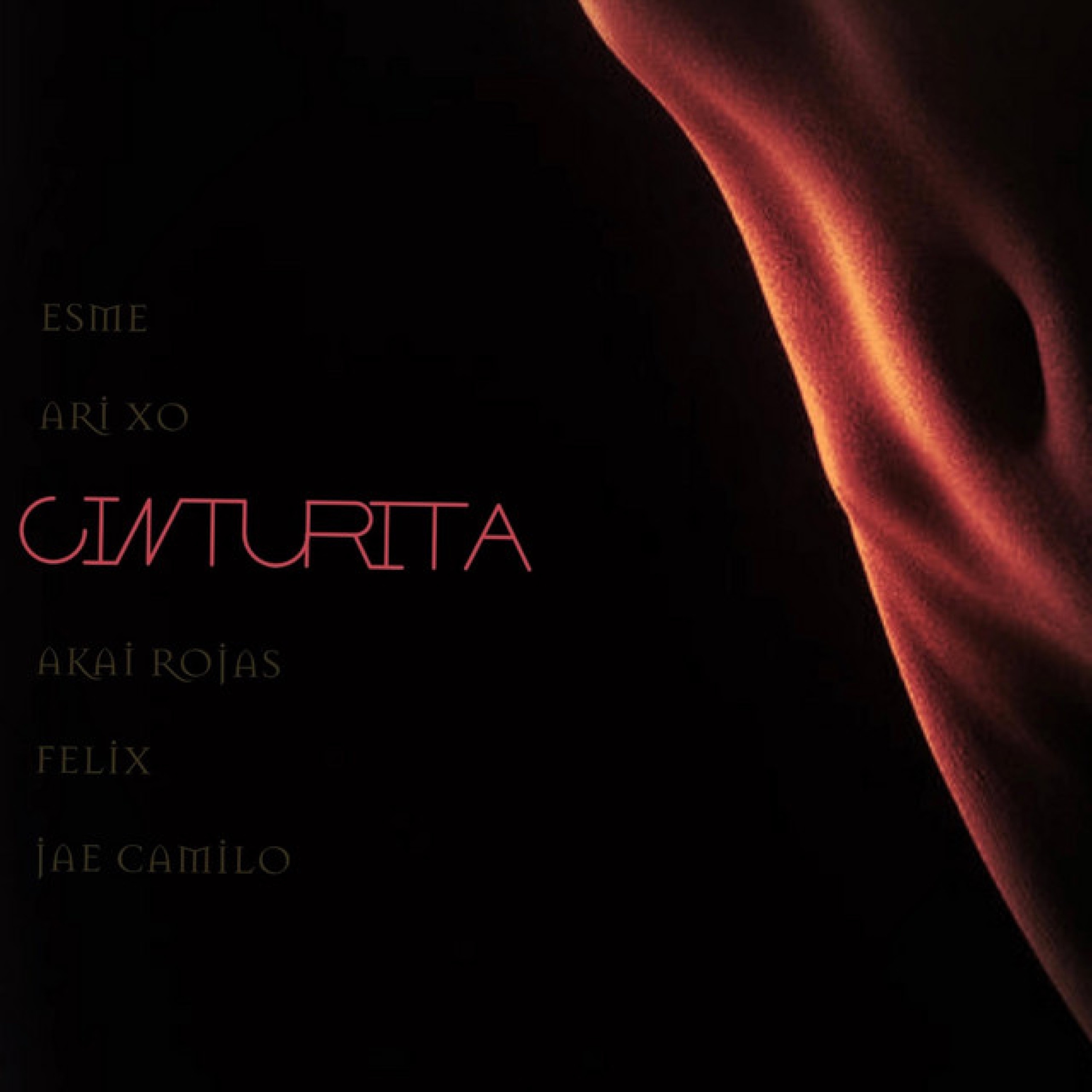 Cinturita (feat. Felix & Jae Camilo) - Single