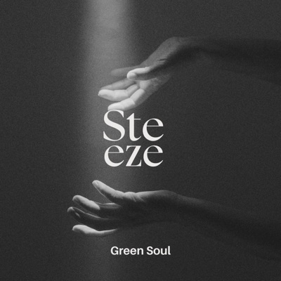 Steeze - Single